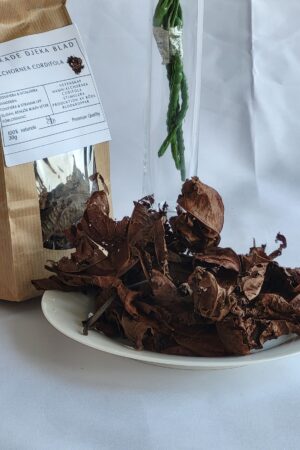 Djeka blad-Torkade: Traditionell Användning för Kvinnlig Intimvård och Sexuell Hälsa